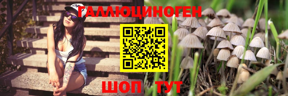 Усолье-Сибирское  Псилоцибиновые грибы MAGIC MUSHROOMS  Псилоцибиновые грибы Cubensis  магазин продажи   Вход с VPN 